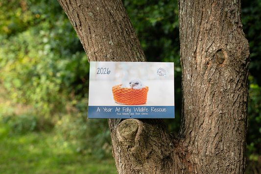Folly Wildlife 2026 Calendar
