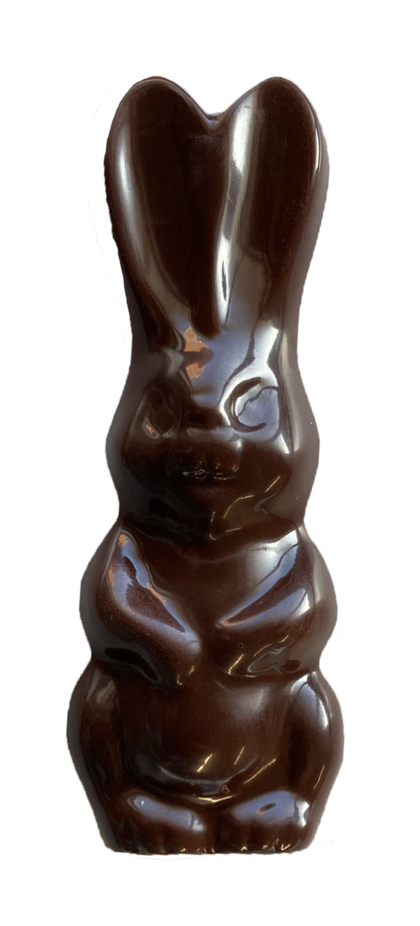 Chocolate Bunny
