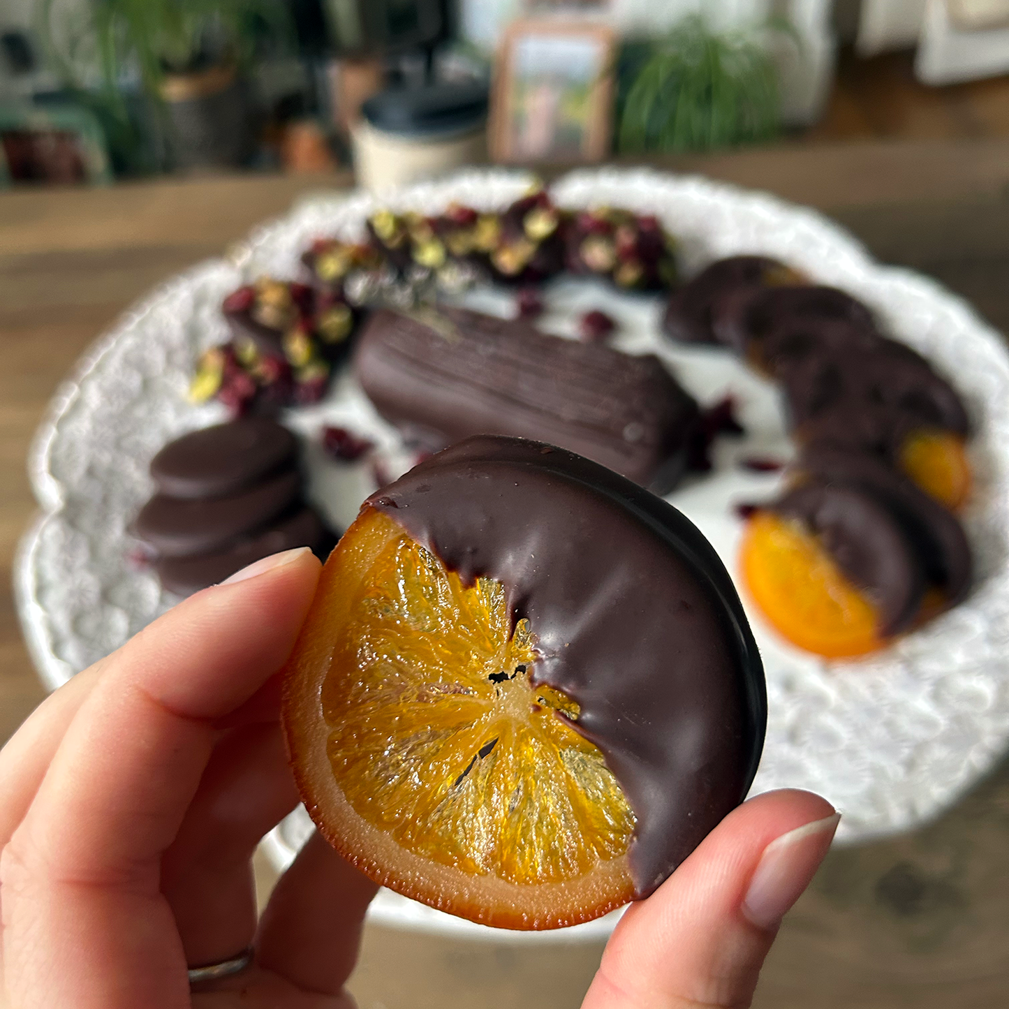 Chocolate Dipped Orange Slices