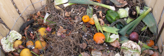 How To Home Compost!