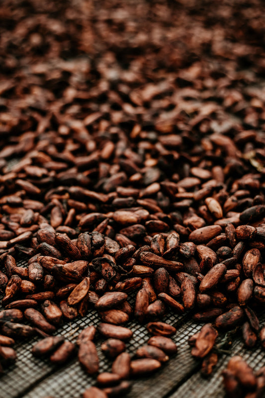 How is chocolate made?