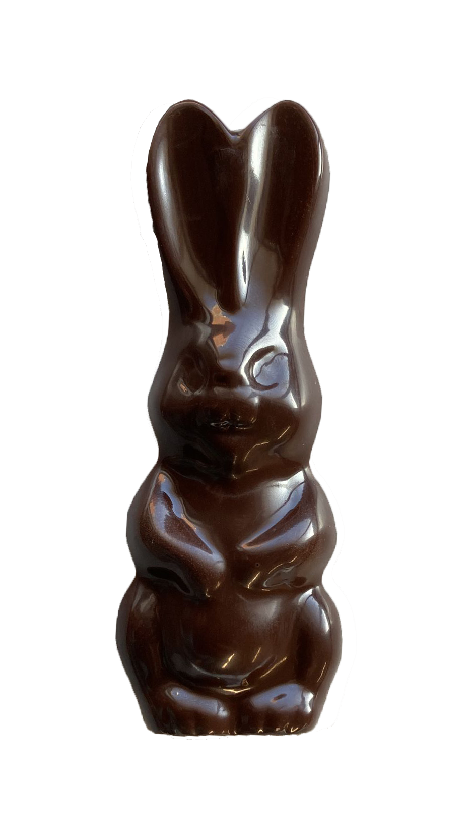 Chocolate Bunny