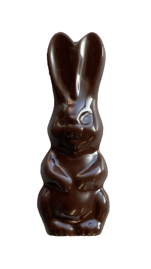 Chocolate Bunny