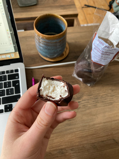 Chocolate Covered Marshmallows