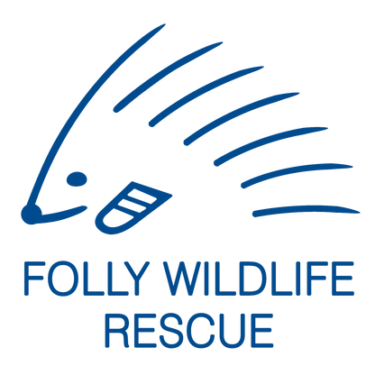 Folly Wildlife Rescue logo