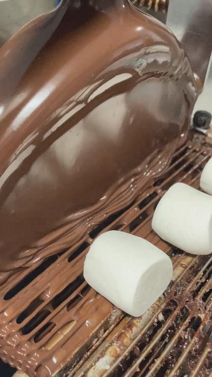 Chocolate Covered Marshmallows